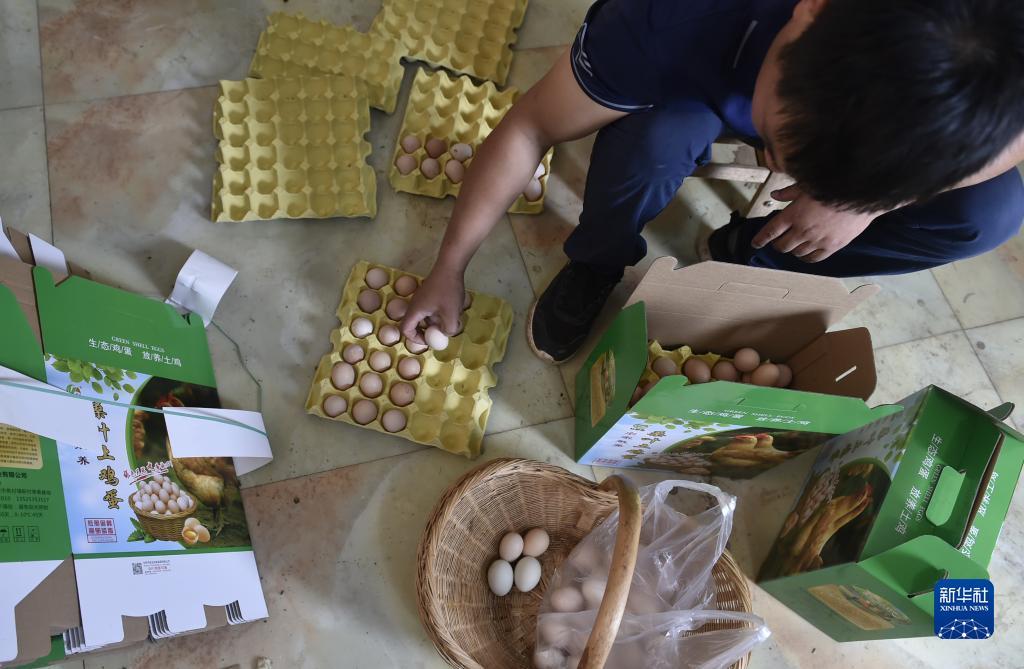 财富仿会员登录中心